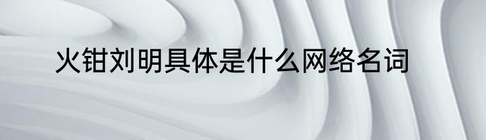 火钳刘明具体是什么网络名词