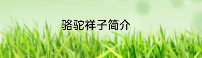 骆驼祥子简介