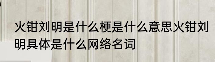 火钳刘明是什么梗是什么意思火钳刘明具体是什么网络名词