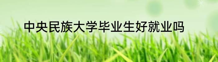 中央民族大学毕业生好就业吗