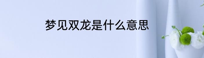 梦见双龙是什么意思