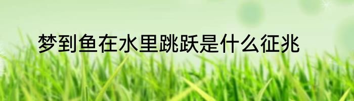 梦到鱼在水里跳跃是什么征兆