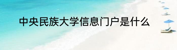 中央民族大学信息门户是什么