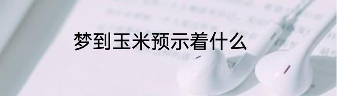 梦到玉米预示着什么