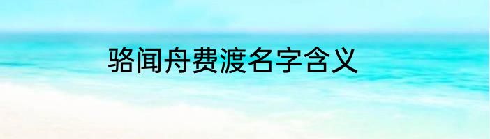 骆闻舟费渡名字含义