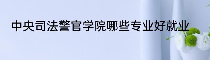 中央司法警官学院哪些专业好就业