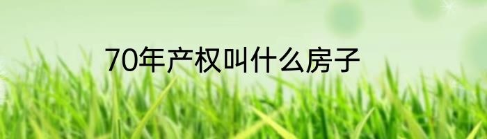 70年产权叫什么房子