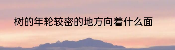 树的年轮较密的地方向着什么面