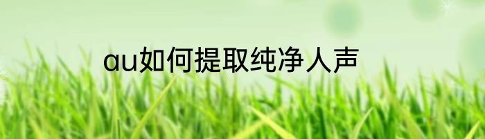au如何提取纯净人声
