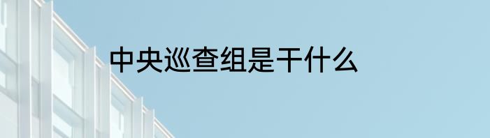 中央巡查组是干什么