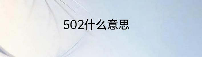 502什么意思