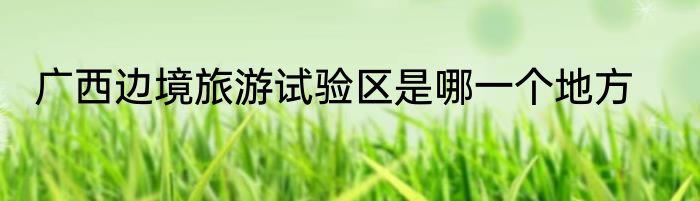 广西边境旅游试验区是哪一个地方