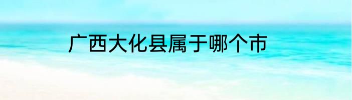 广西大化县属于哪个市