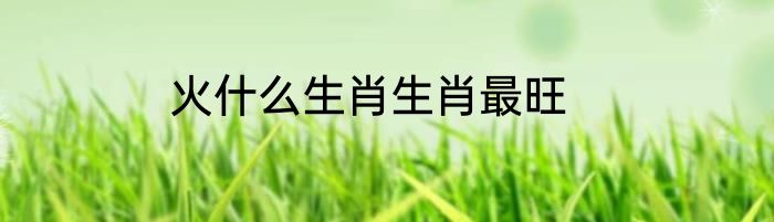 火什么生肖生肖最旺