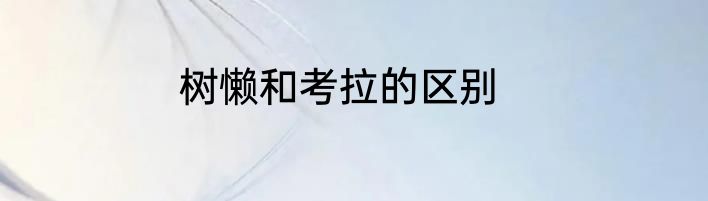 树懒和考拉的区别