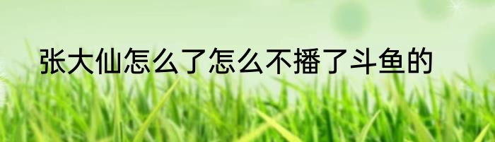 张大仙怎么了怎么不播了斗鱼的
