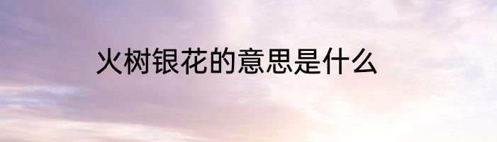 火树银花的意思是什么