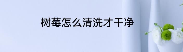 树莓怎么清洗才干净