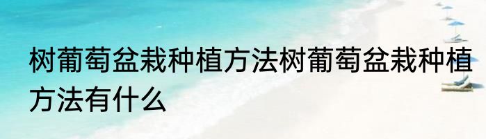 树葡萄盆栽种植方法树葡萄盆栽种植方法有什么