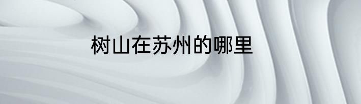 树山在苏州的哪里