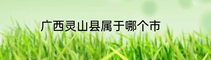 广西灵山县属于哪个市