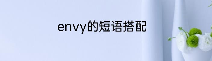 envy的短语搭配