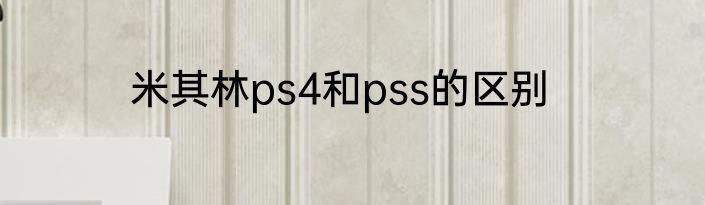 米其林ps4和pss的区别
