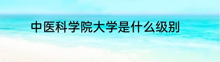 中医科学院大学是什么级别