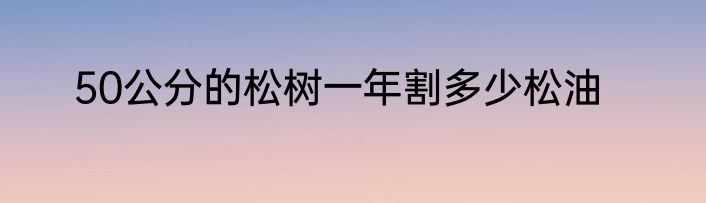 50公分的松树一年割多少松油