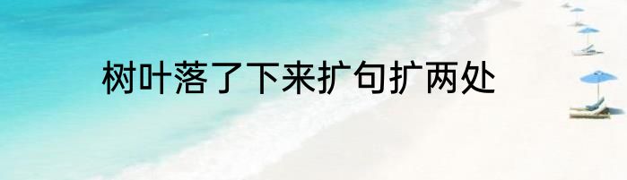 树叶落了下来扩句扩两处