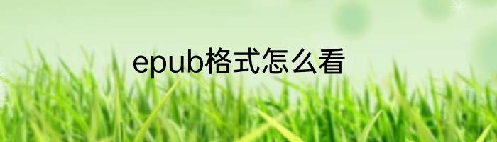 epub格式怎么看