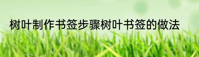 树叶制作书签步骤树叶书签的做法