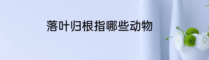落叶归根指哪些动物