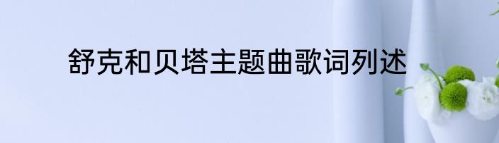 舒克和贝塔主题曲歌词列述