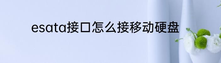 esata接口怎么接移动硬盘