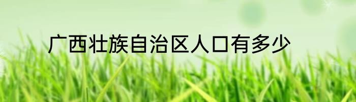广西壮族自治区人口有多少