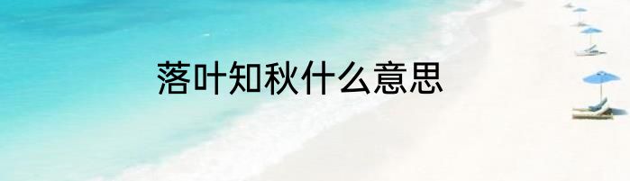 落叶知秋什么意思