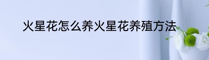 火星花怎么养火星花养殖方法