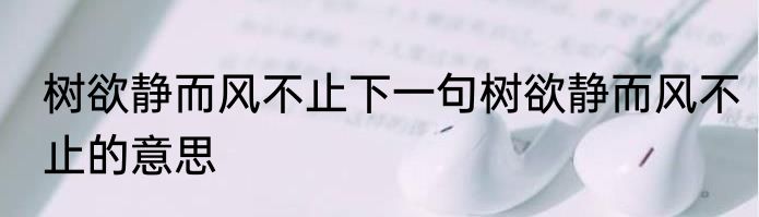 树欲静而风不止下一句树欲静而风不止的意思