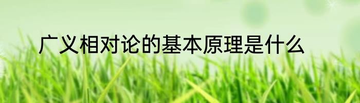 广义相对论的基本原理是什么