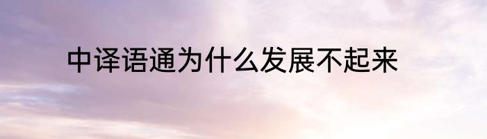 中译语通为什么发展不起来