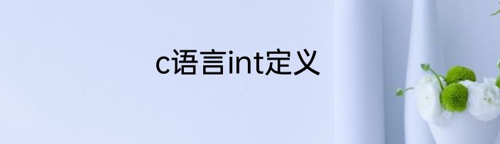 c语言int定义