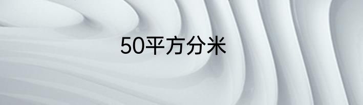 50平方分米