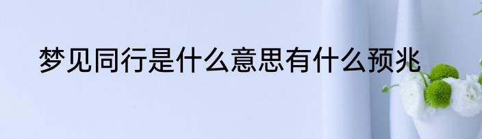梦见同行是什么意思有什么预兆
