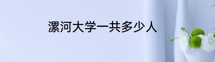 漯河大学一共多少人