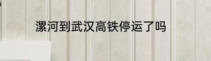漯河到武汉高铁停运了吗