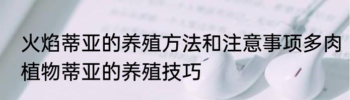 火焰蒂亚的养殖方法和注意事项多肉植物蒂亚的养殖技巧