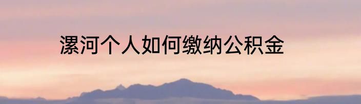 漯河个人如何缴纳公积金