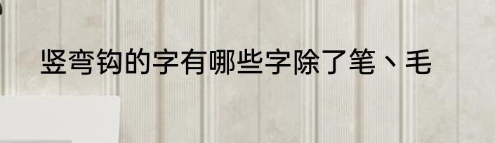 竖弯钩的字有哪些字除了笔丶毛