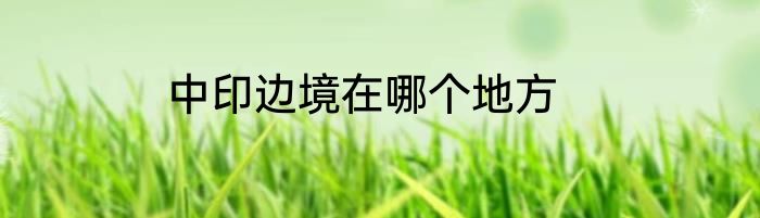 中印边境在哪个地方